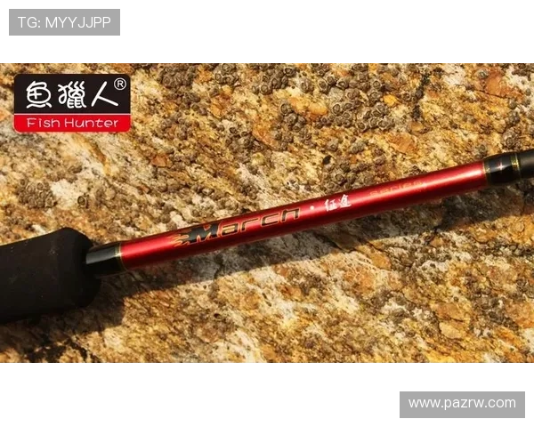 全面解析PA Fish Hunter游戏的操作流程与策略，提升你的捕鱼体验